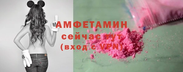 прущие грибы Сафоново