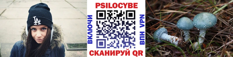 omg зеркало  Макушино  Галлюциногенные грибы Psilocybe 